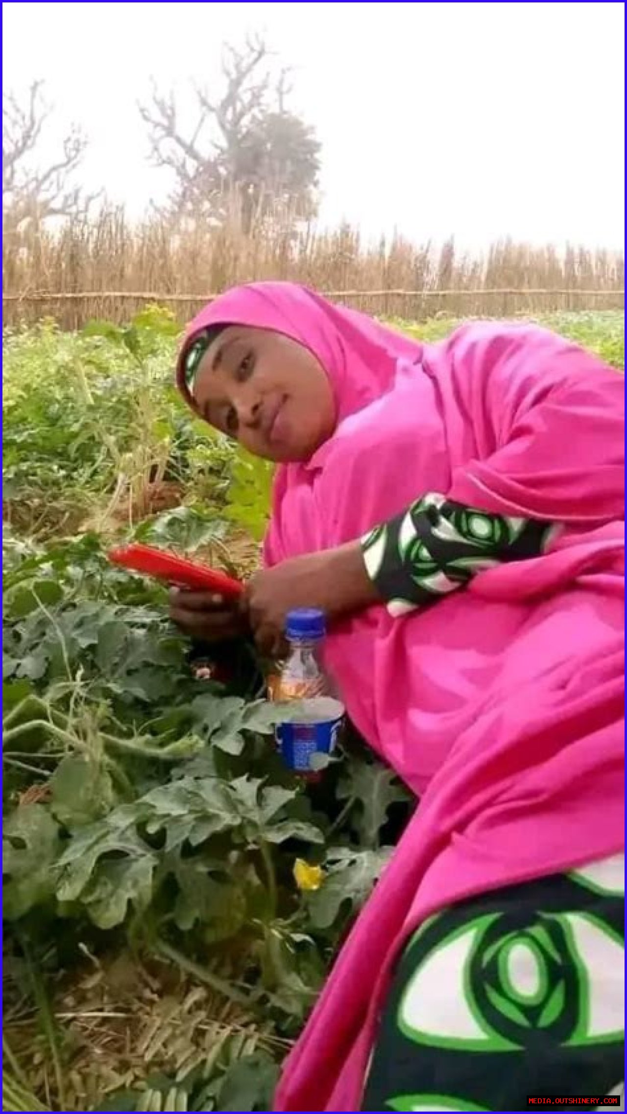 Cin Gindi: A Comprehensive Guide To The Iranian Culinary Delight