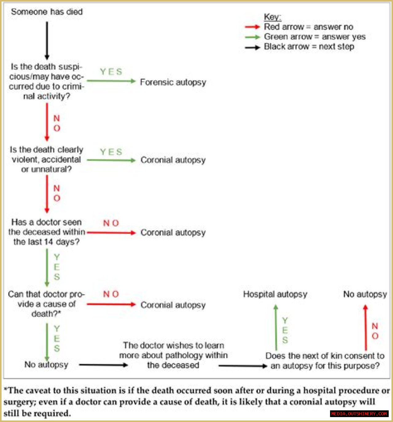 Deedee Autopsy Report: A Comprehensive Analysis