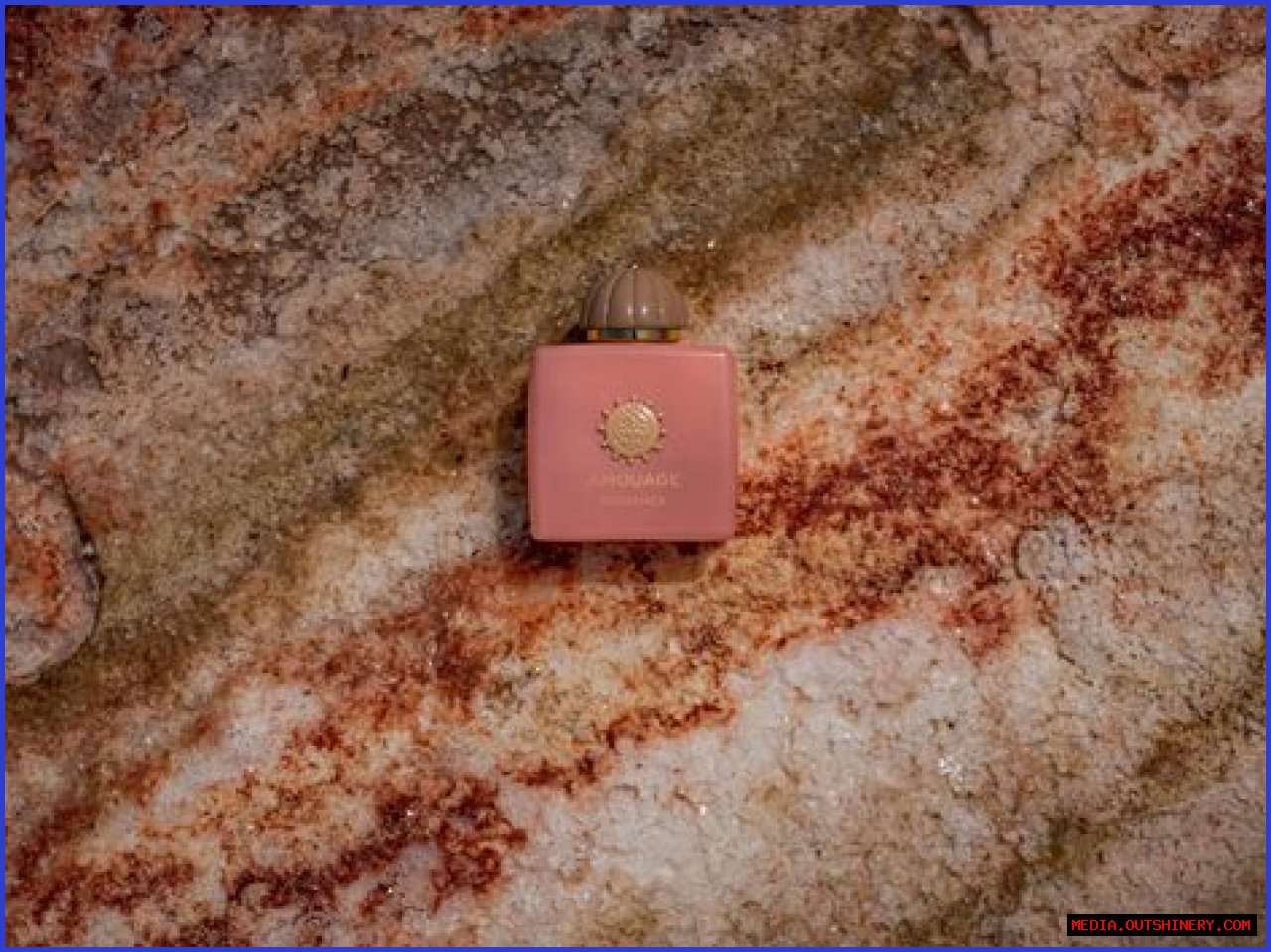 Desiree Garcia Nude Leaks: A Deep Dive Into The Controversy