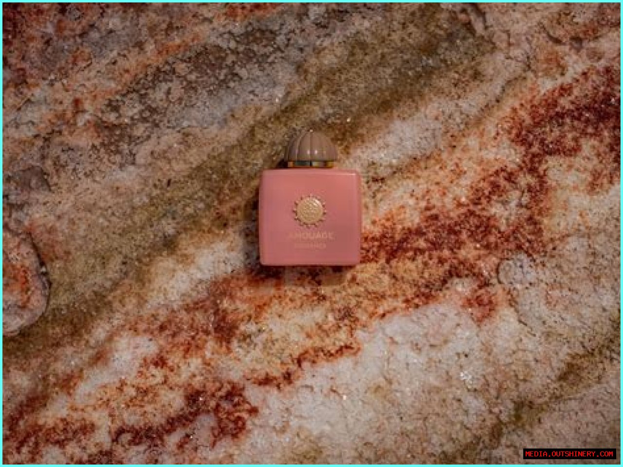 Exploring Andra Day's Ethnicity: A Deep Dive Into Her Heritage