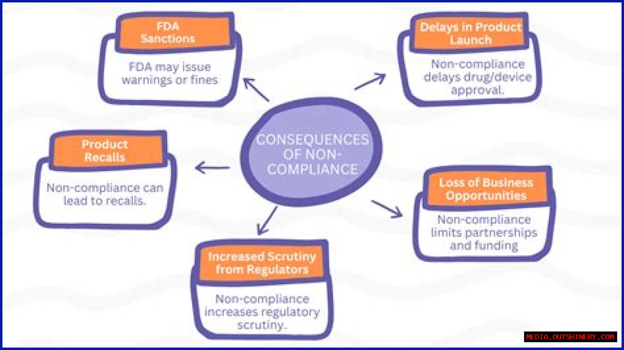 Exploring OnlyFans Leaked Content: Understanding The Implications And Consequences