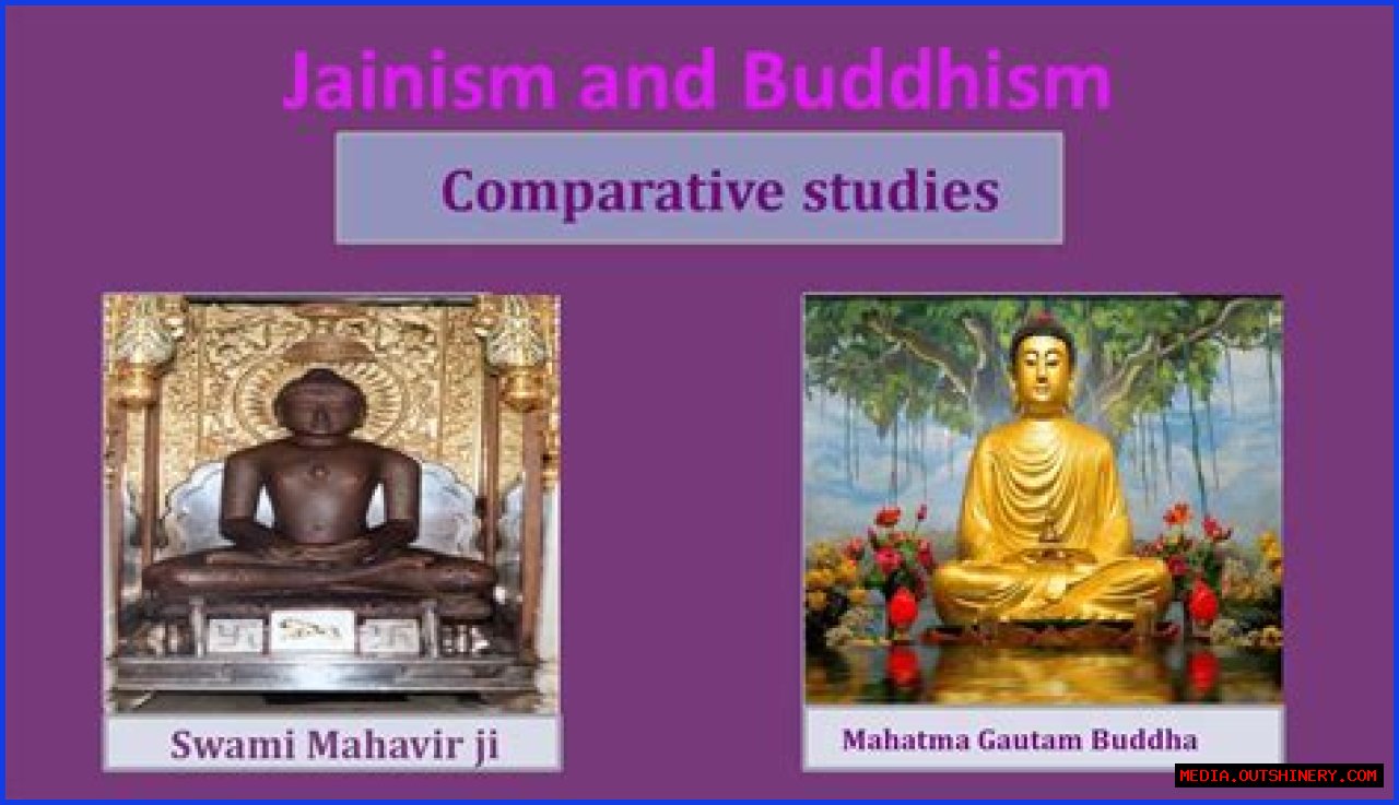 Exploring The Lives Of DD Osama Siblings