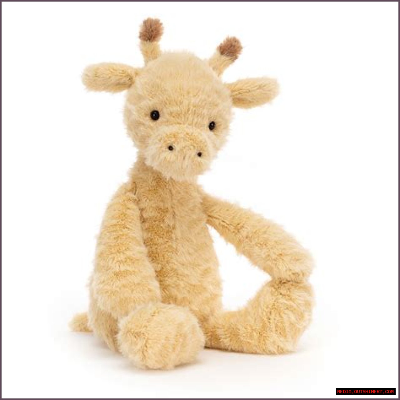 How Old Is Rollie? A Comprehensive Guide