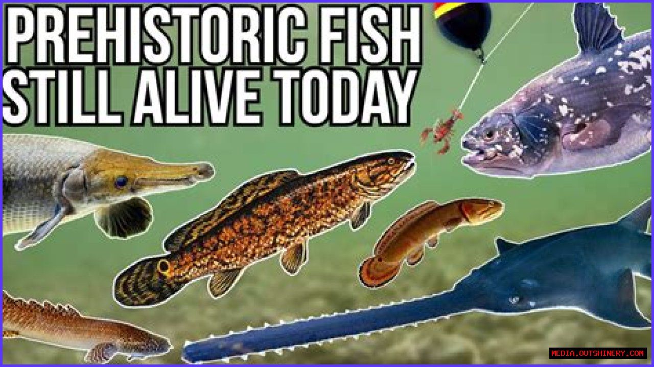 Is Frank Fritz Still Alive? A Comprehensive Exploration