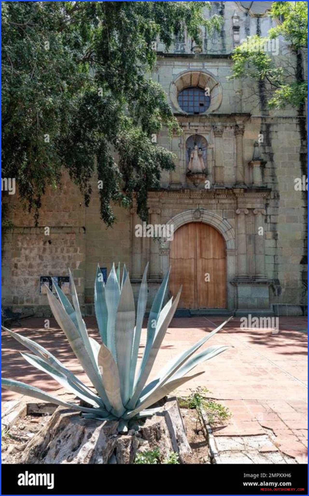 No Mercy En Mexico Escondido: Unveiling The Dark Underbelly Of Crime