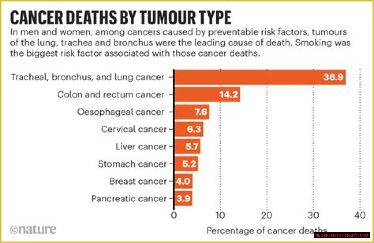 Pioneer Woman Stroke: Cause Of Death, Cancer Update, And Legacy