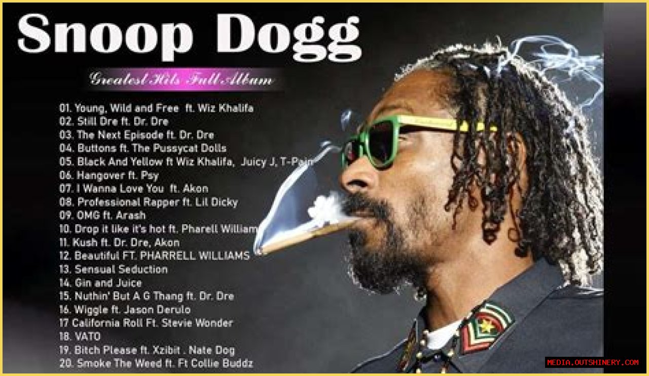 Unraveling The Truth: Does Snoop Dogg Have A Felony?